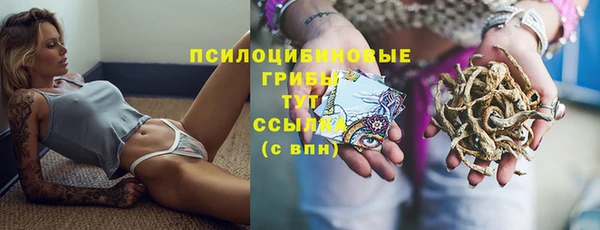 spice Алексеевка